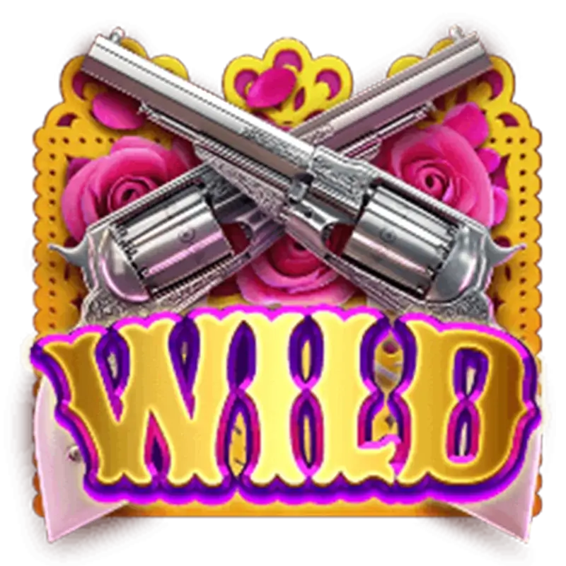 เครื่องหมายพิเศษ Wild