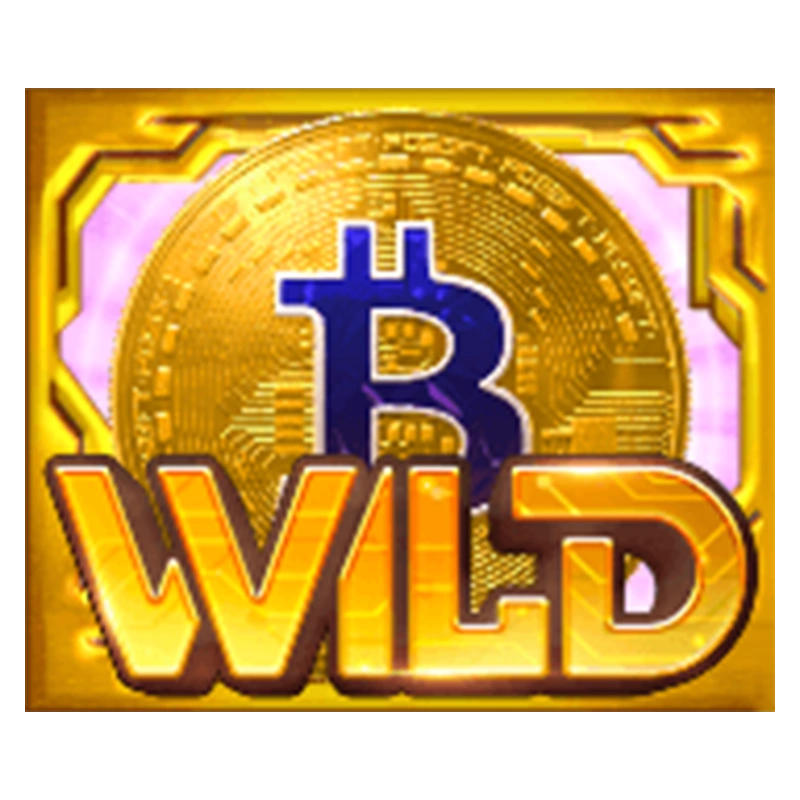 สัญลักษณ์พิเศษ Wild